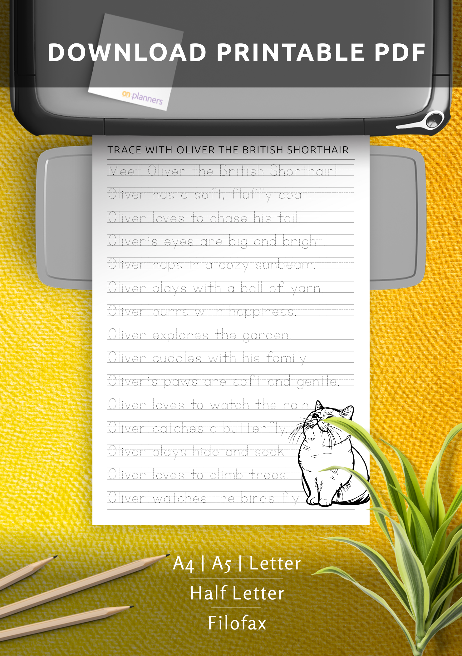 Oliver In Nice Writing Download Trace & Write with Oliver the British Shorthair Printable PDF