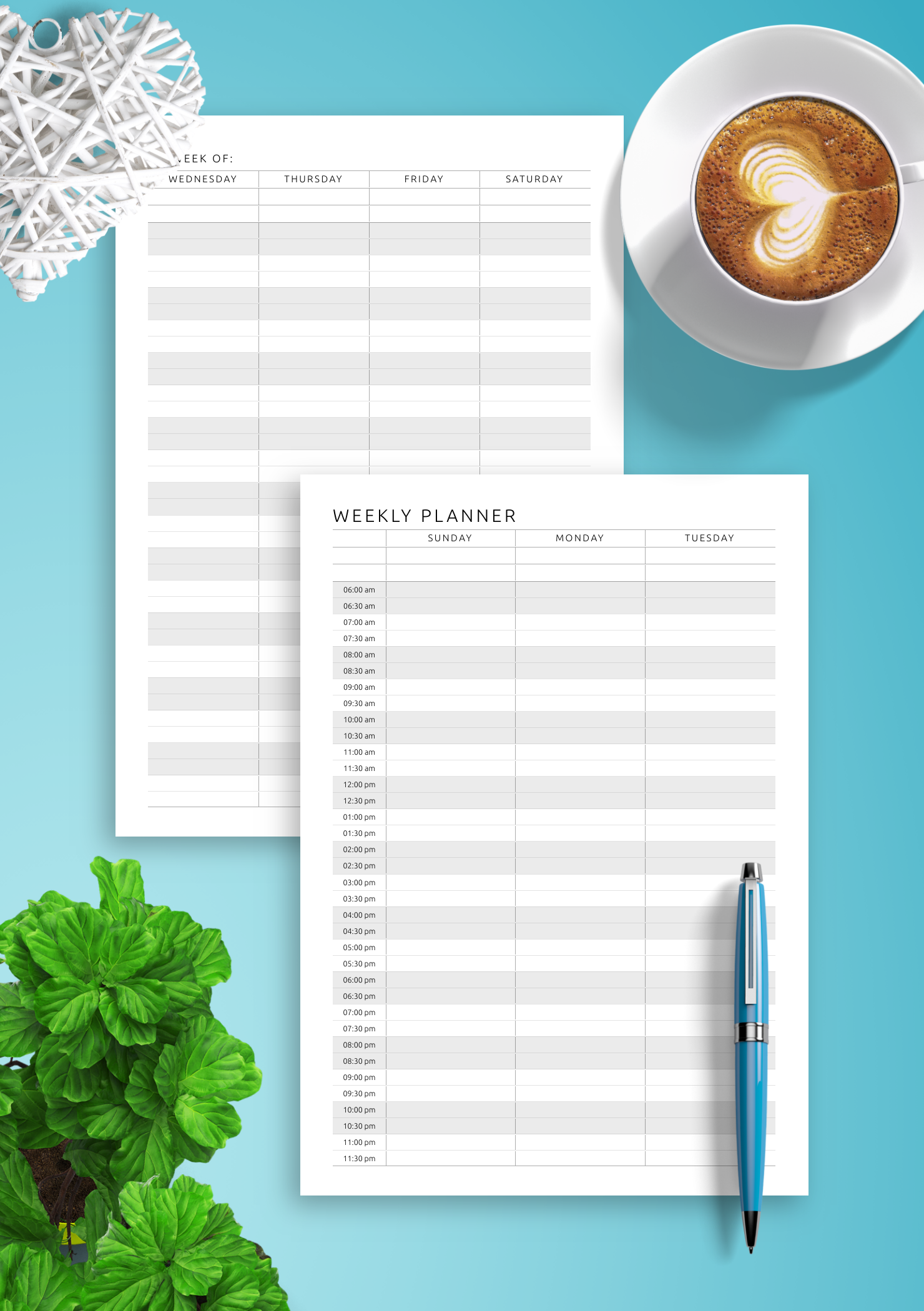 Download Printable Two-page weekly hourly scheduler PDF