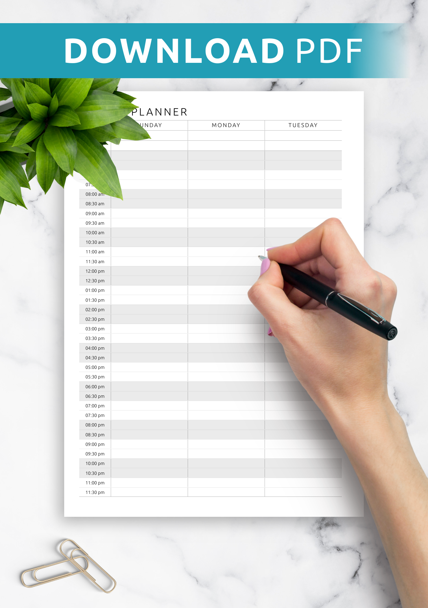 Download Printable Two-page weekly hourly scheduler PDF
