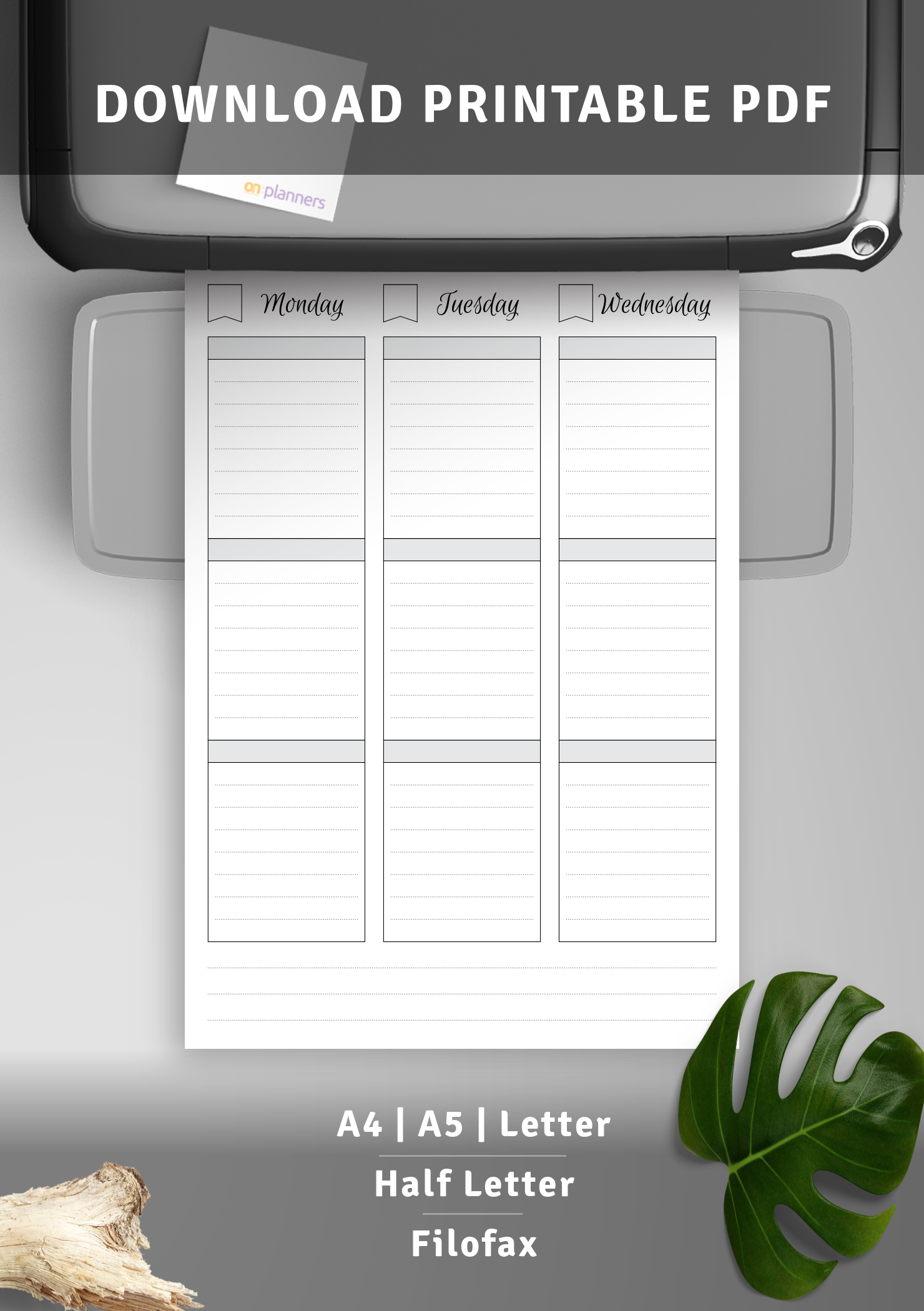 Download Printable Undated weekly schedule PDF