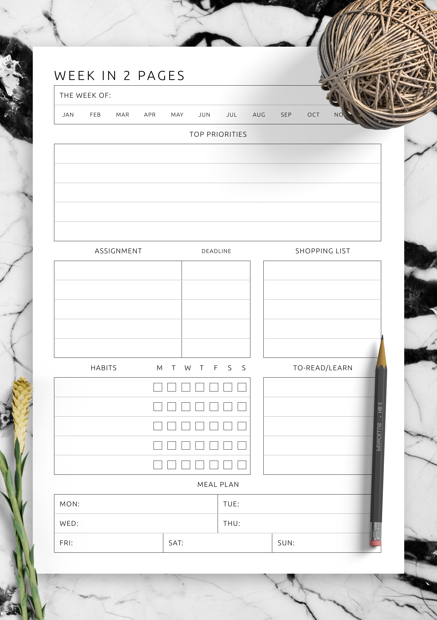 Download Printable Week in 2 Pages Extended Template - Minimalist Style PDF