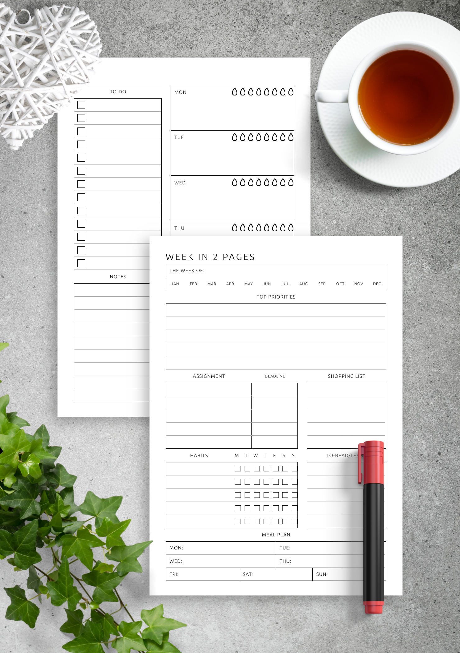 Download Printable Week in 2 Pages Extended Template - Minimalist Style PDF