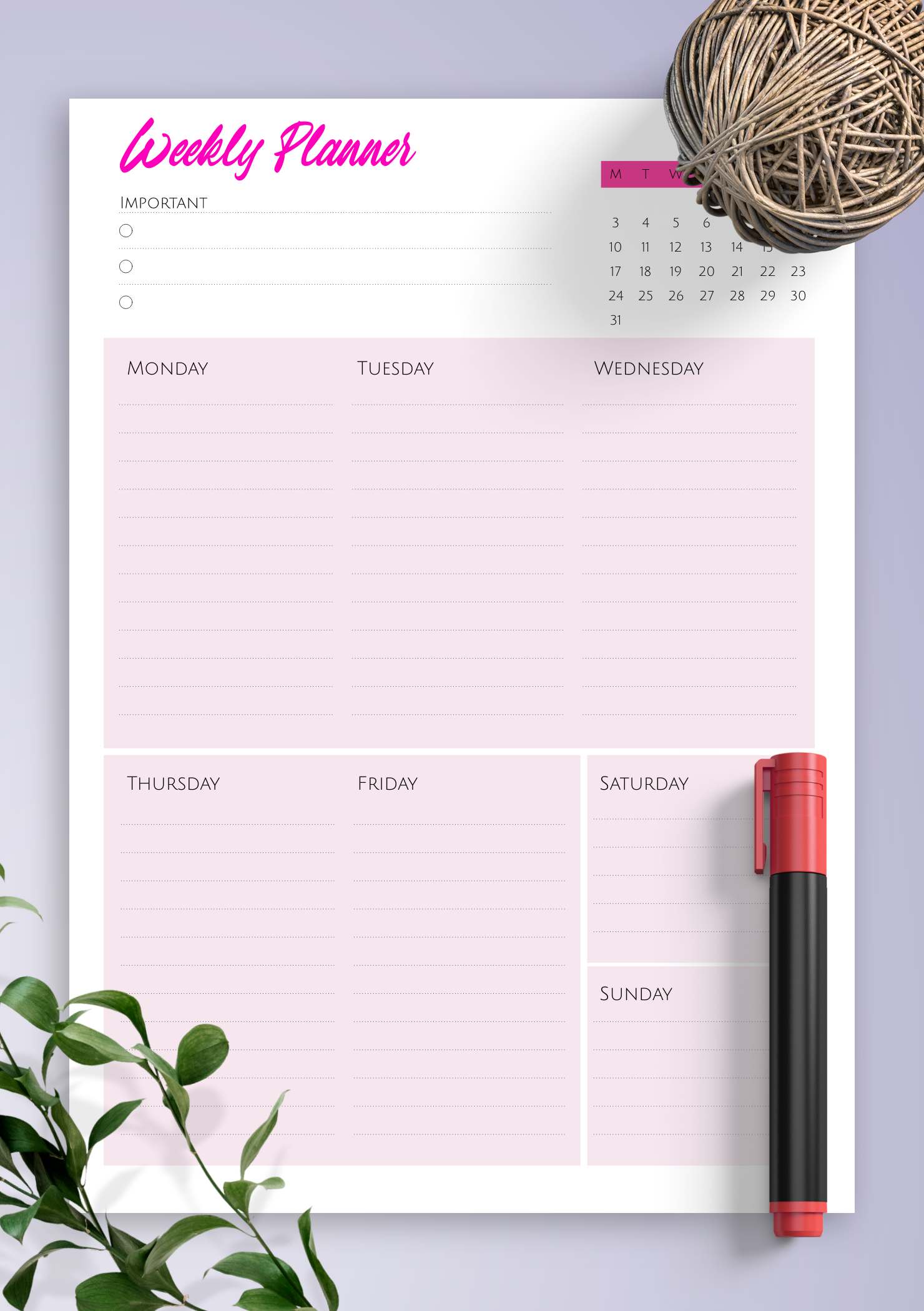 Download Printable Weekly Plan Checklist Pdf Planner Bullet Journal 