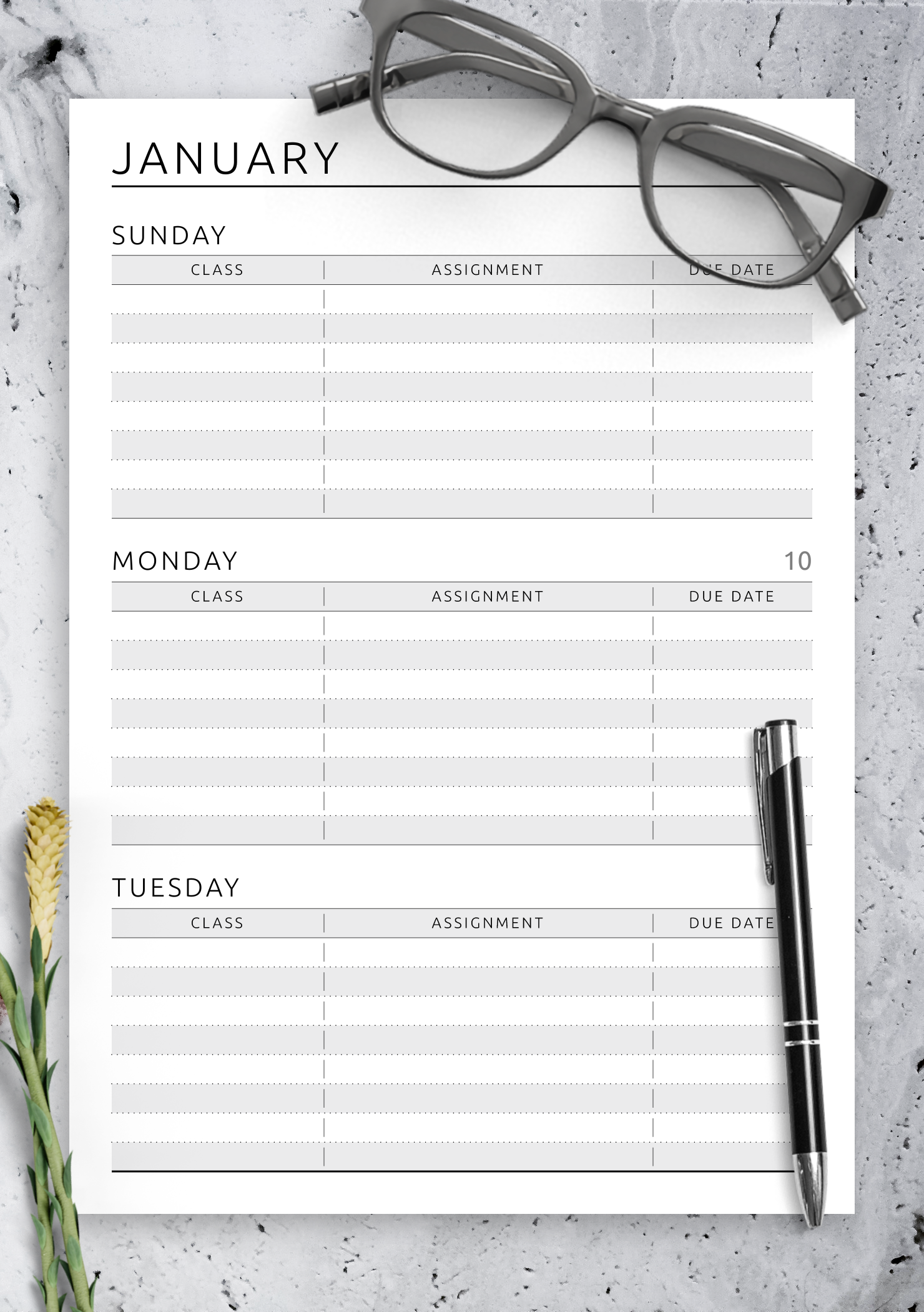 Download Printable Week Schedule - Original Style PDF