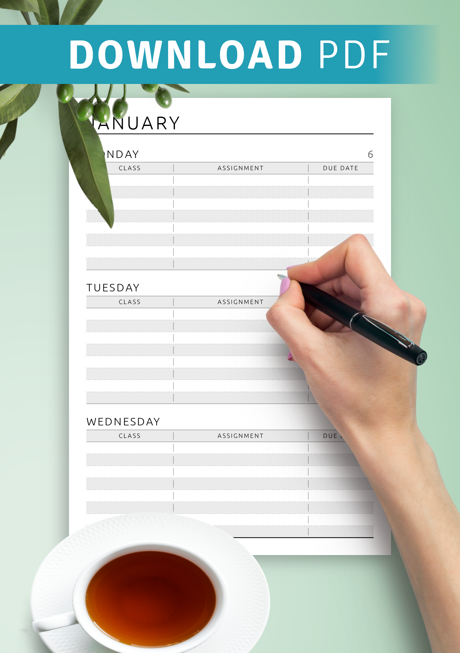 Download Printable Week Schedule - Original Style PDF